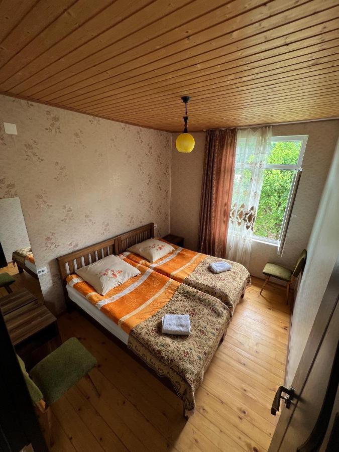 Hotel Eco-Cozy Gueshouse Udesiani Mestia Esterno foto